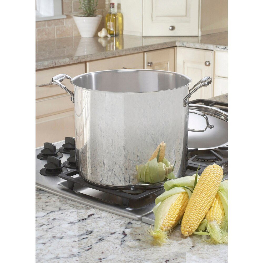 Classic Stainless Steel 12 Qt. Stockpot W/Cover