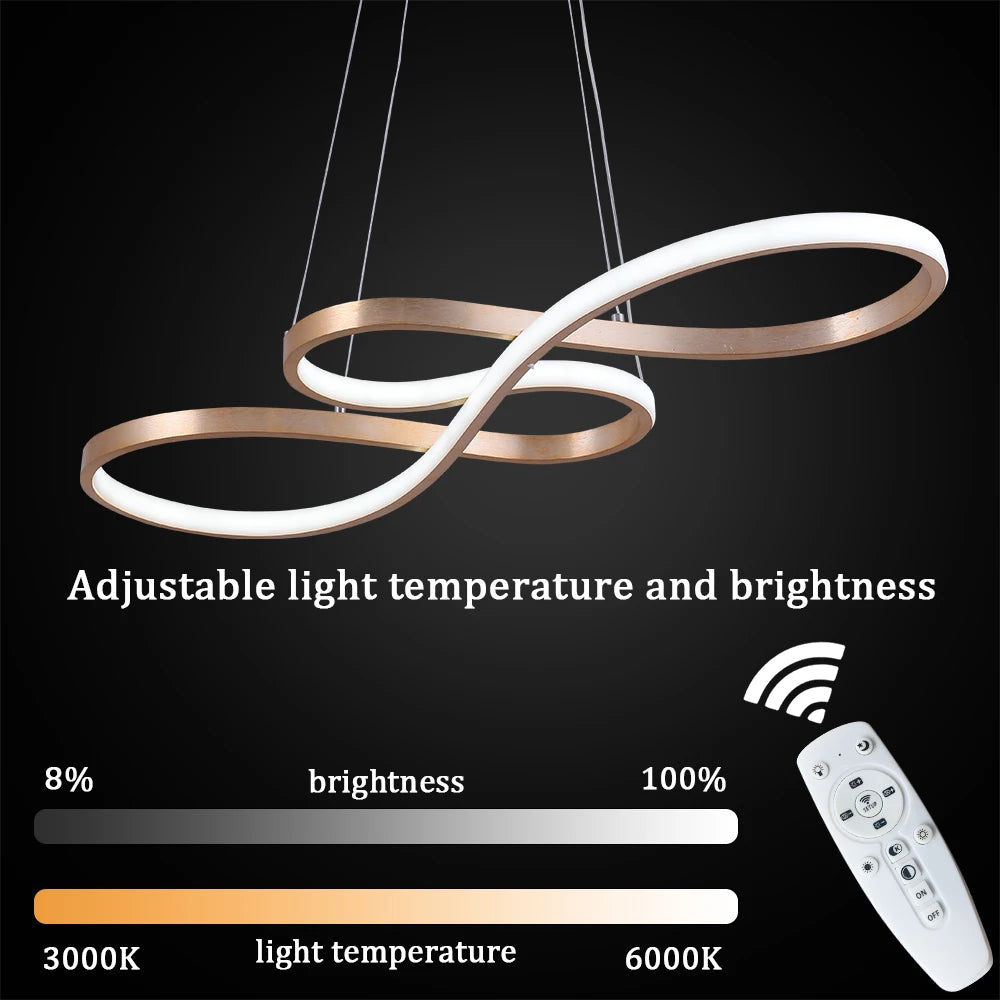 Nordic Led Decorative Ceiling Lamp